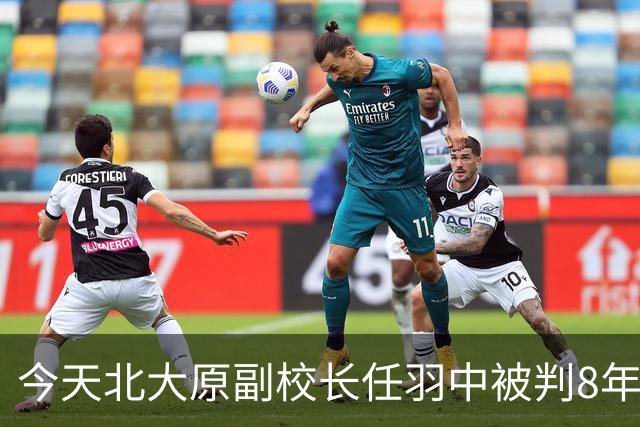 今天北大原副校长任羽中被判8年，我来说三点痛感判断