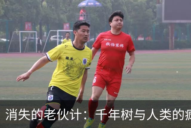 消失的老伙计：千年树与人类的疯狂